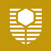 Negocio Curtin University Dubai