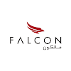 Negocio Falcon Aviation Services