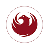 Negocio Phoenix Financial Training